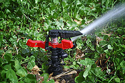 Sprinkler Systems